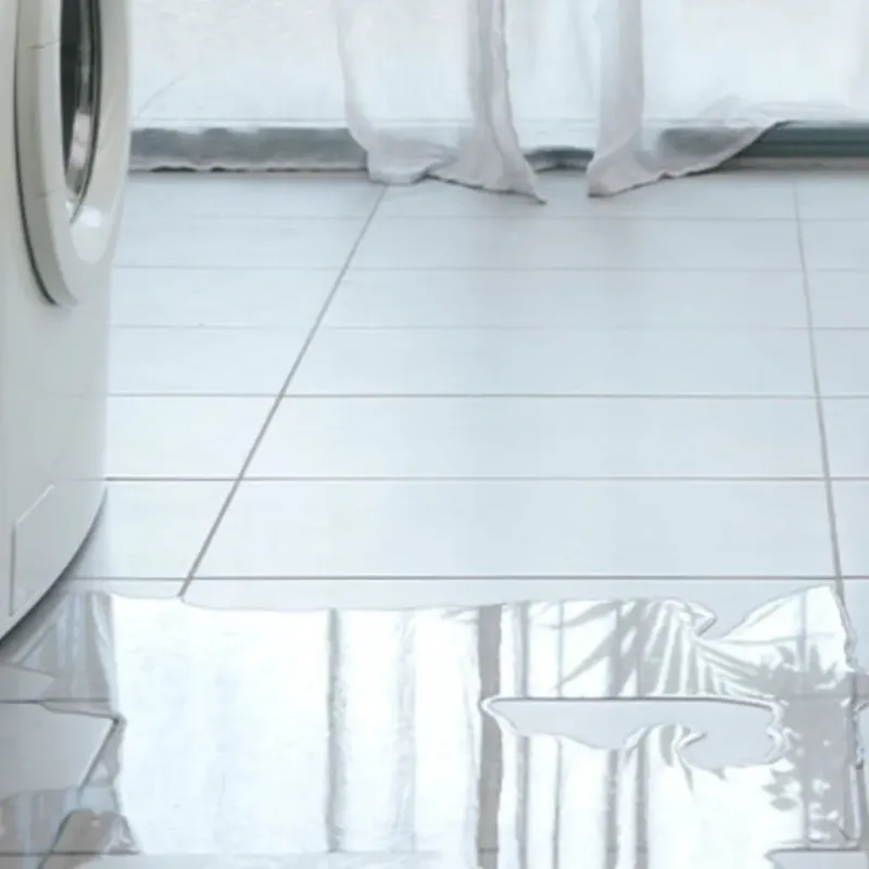 Appliance Leak Cleanup in Los Alamos, CA