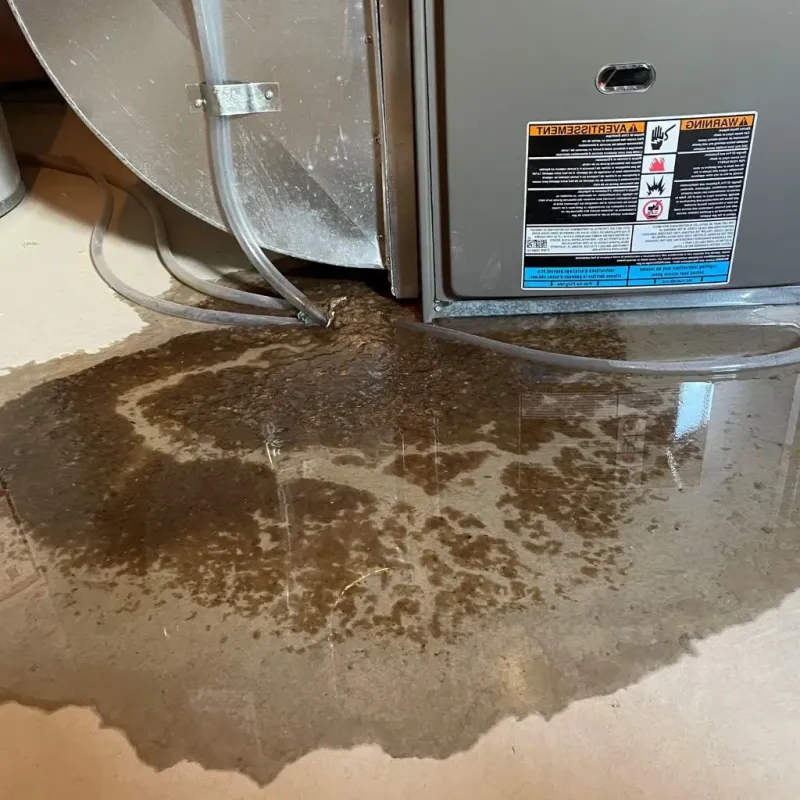 Pipe Burst and Leak Restoration in Los Alamos, CA