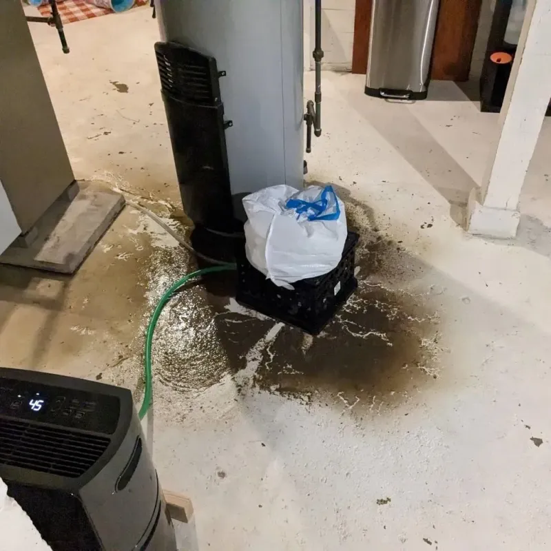 Sewage Backup Cleanup Service in Los Alamos, CA